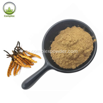 جودة عالية cordyceps sinensis استخراج مسحوق